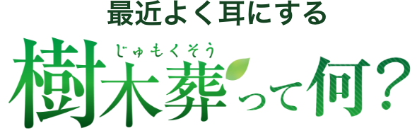 最近よく耳にする樹木葬って何？