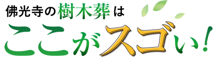 佛光寺の樹木はここが凄い！