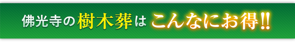 佛光寺の樹木はこんなにお得！